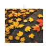 Fall Pumpkin Kitchen Absorbent Mat-Dish Drying Mat,Utensil Drying Mat-Kitchen Essential For Countertops view 1