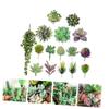 Ciieeo Realistic Simulated Succulents 16pcs Artificial Greenery Micro Landscape Decorations Faux Succulent Plants view 3