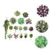 Ciieeo Realistic Simulated Succulents 16pcs Artificial Greenery Micro Landscape Decorations Faux Succulent Plants view 4