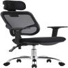 Ergonomic Mesh Office Chair, High Back Desk Chair - Adjustable Height with Armrests, Lumbar Support and PU Wheels, Swivel Computer Task Chair (Grey) view 1