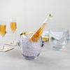 Bar Lux 2.1 Quarts Champagne Bucket, 1 Heavy-Duty Champagne Bucket With Tongs - Dishwashable, Shatterproof, Clear PC Plastic Ice Bucket, Keep Beverages Cold - Restaurantware view 3