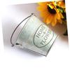 Amosfun Creative Vintage Iron Flower Bucket for Home Decoration Antique Finish Dry Flower Holder for Balcony Office Garden More view 2