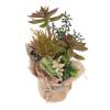 DEARMAMY 3pcs Lifelike Artificial Plant for Decor Realistic Faux Bonsai Pot for Bookshelf Windowsill and Desktop Decoration Low Maintenance Indoor Greenery view 1