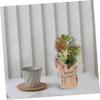 DEARMAMY 3pcs Lifelike Artificial Plant for Decor Realistic Faux Bonsai Pot for Bookshelf Windowsill and Desktop Decoration Low Maintenance Indoor Greenery view 3