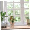 DEARMAMY 3pcs Lifelike Artificial Plant for Decor Realistic Faux Bonsai Pot for Bookshelf Windowsill and Desktop Decoration Low Maintenance Indoor Greenery view 4