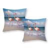 NTVOWPZO 2PCS Throw Pillow Covers 18"x18" Square Pillowcases Covers Pink Flamingo On The Beach Soft Pillowcases Modern Farmhouse Home Decor Sofa Cushions Covers for Couch Bed Living Room view 2