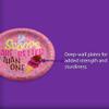 2 Scoops Ice Cream Second Birthday - 32 Piece Disposable Party Supplies - Decorations for Girl's 2nd Birthday Round Party Plates - Large 9" Paper Plates In Bulk view 3