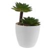 Amosfun Tiny Bonsai Decor Fake Potted Plant Decorative Artificial Succulents for Living Room Office view 1