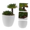 Amosfun Tiny Bonsai Decor Fake Potted Plant Decorative Artificial Succulents for Living Room Office view 2