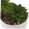 Amosfun Tiny Bonsai Decor Fake Potted Plant Decorative Artificial Succulents for Living Room Office view 4