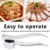 Garlic Press, Garlic Mincer, Stainless Steel Garlic Press Professional Easy Clean Garlic Mincer Crusher for Home Kitchen view 2