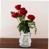 PRETYZOOM 4pcs Hanging Glass Planter for Hydroponics Elegant Decorative Tealight Candle Holders Stylish Centerpieces for Decor view 3
