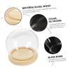 FUNOMOCYA Glass Display Case with Base Decorative Dome Cover for Preserved Flowers and Collectibles and Stylish Desk Decor for Use view 2