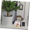 FUNOMOCYA Glass Display Case with Base Decorative Dome Cover for Preserved Flowers and Collectibles and Stylish Desk Decor for Use view 3