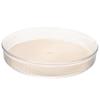 Angoily 360degree Rotating Spice Jar Organizer Tray Transparent Condiment Holder for Kitchen Bathroom Vanity Multifunctional Storage for Spices and Snacks view 1