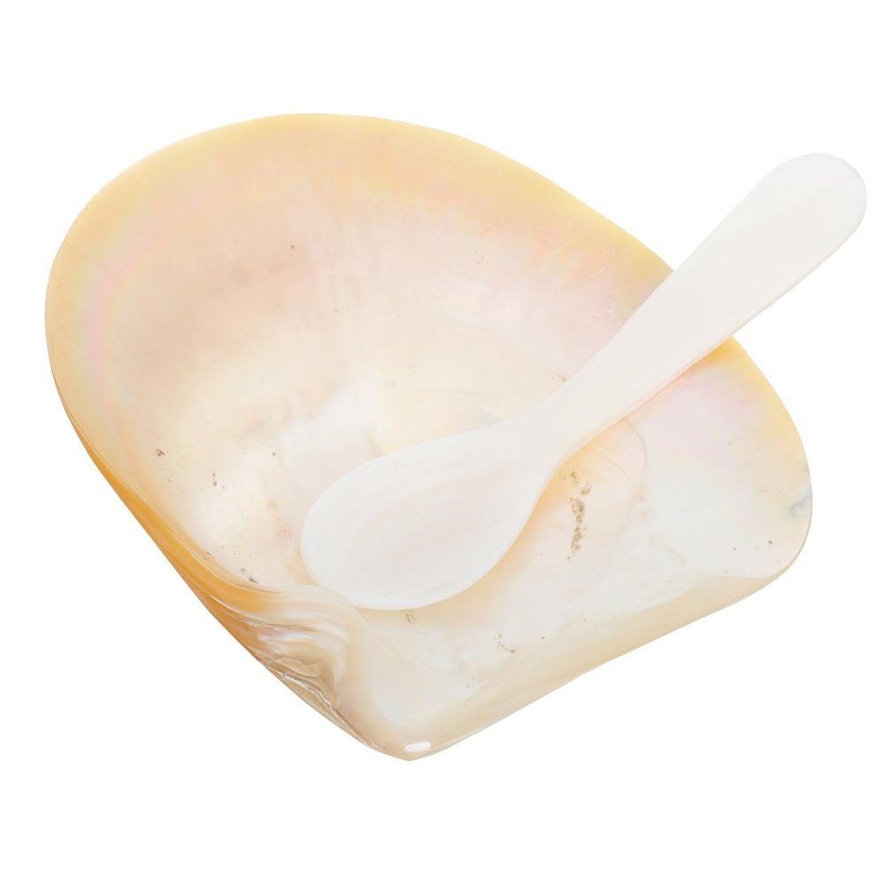 PRETYZOOM 1set Caviar Dishes Natural Craft for Home Decor Aquarium Shell Decor and Fish Tank Landscaping Prop Unique Decorative Tableware for Sauces and Appetizers
