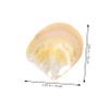 PRETYZOOM 1set Caviar Dishes Natural Craft for Home Decor Aquarium Shell Decor and Fish Tank Landscaping Prop Unique Decorative Tableware for Sauces and Appetizers view 3