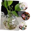 Amosfun European Style Crystal Glass Flower Vase for Hydroponic Arrangements Unique Desktop Decoration for Home Office and Living Room Elegant Bud Vase for All Flower Types view 3