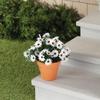 Artificial Daisy Bush by OakRidgeTM view 2
