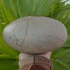 One Beautifully Narmadeshwar Shiva Lingam for Puja 6.5"" inch Indian God Idol Statue Stone Puja Room Religious god Idol Shiva Lingam Sacred Healing Narmada Shiva Lingam-164, Showing as Image view 2