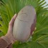 One Beautifully Narmadeshwar Shiva Lingam for Puja 6.5"" inch Indian God Idol Statue Stone Puja Room Religious god Idol Shiva Lingam Sacred Healing Narmada Shiva Lingam-164, Showing as Image view 3
