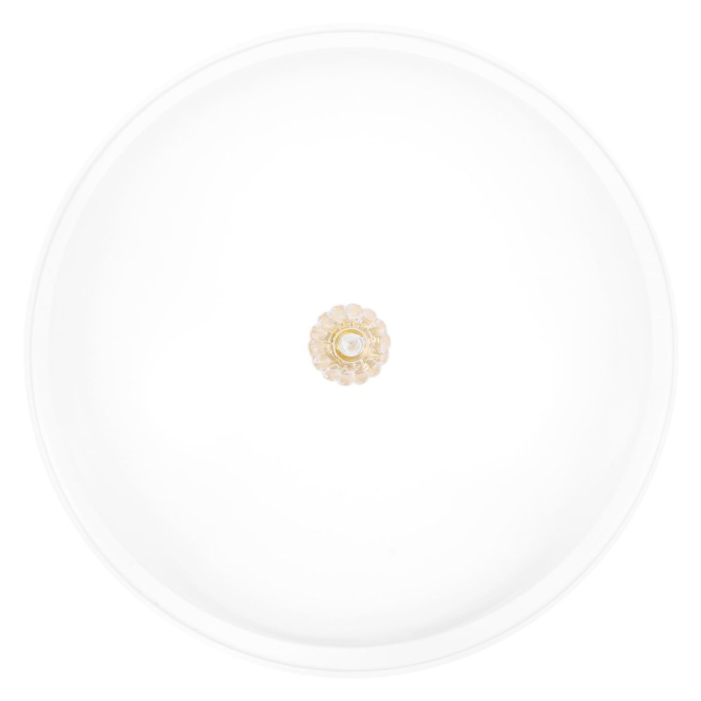 BIUDECO 1pc Acrylic Round Food Cover Lid for Bread Desserts Food Insulation Protector for Home and Outdoor Use Random Style