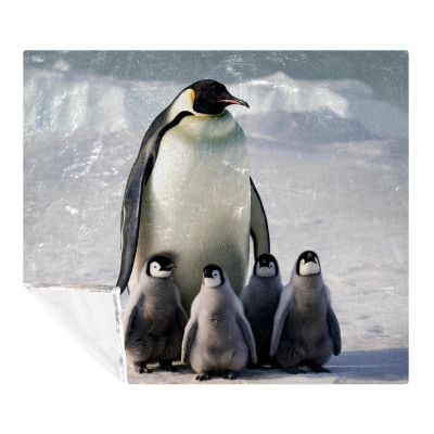 Throw Blanket for Couch,Blankets for Women,Antarctic Penguins Family Blanket,59x51.1 in