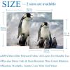 Throw Blanket for Couch,Blankets for Women,Antarctic Penguins Family Blanket,59x51.1 in view 3