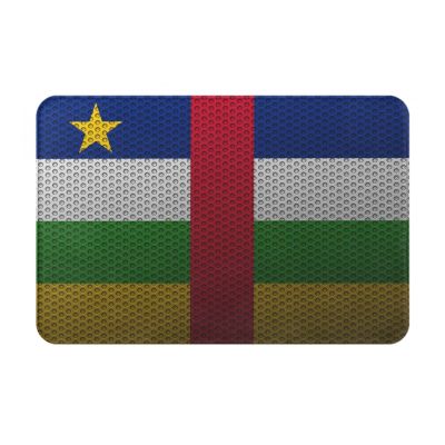 SIYTUAU Flag of The Central African Republic Bathroom Rugs 16x24 Inch Ultra Soft Non Slip Bath Mat Kitchen Bedroom Rug Door Mat