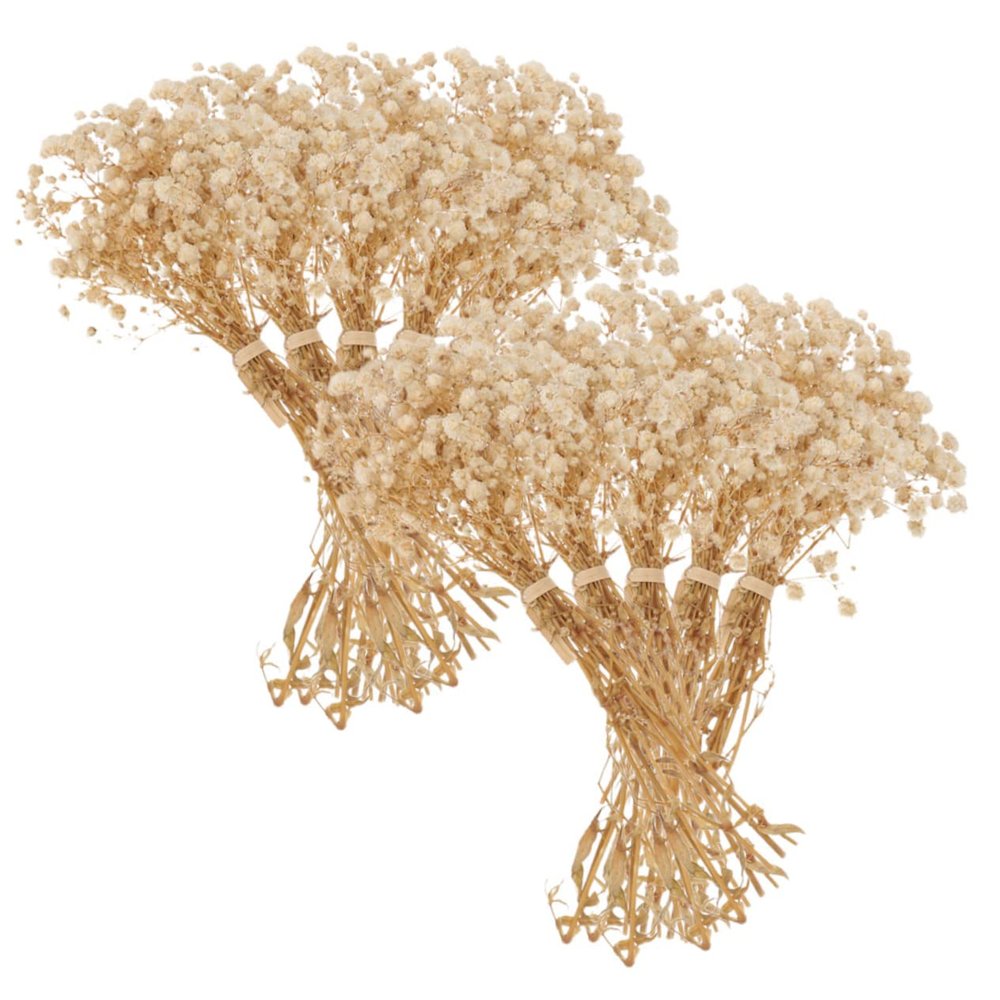Gogogmee False Flower Decor Dried Babysbreath Bouquet Decorative Faux Bouquets for Babysbreath Flower Decor