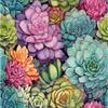 Succulent Tumbler Sublimation Wrap - Ready to Press Sublimation Transfer - 20 oz Straight Tumbler Wrap, Pastel Succulents Transfer, Cactus view 2
