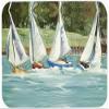 212 Main Sailboats On The Bay Glass Cutting Board- Large view 1