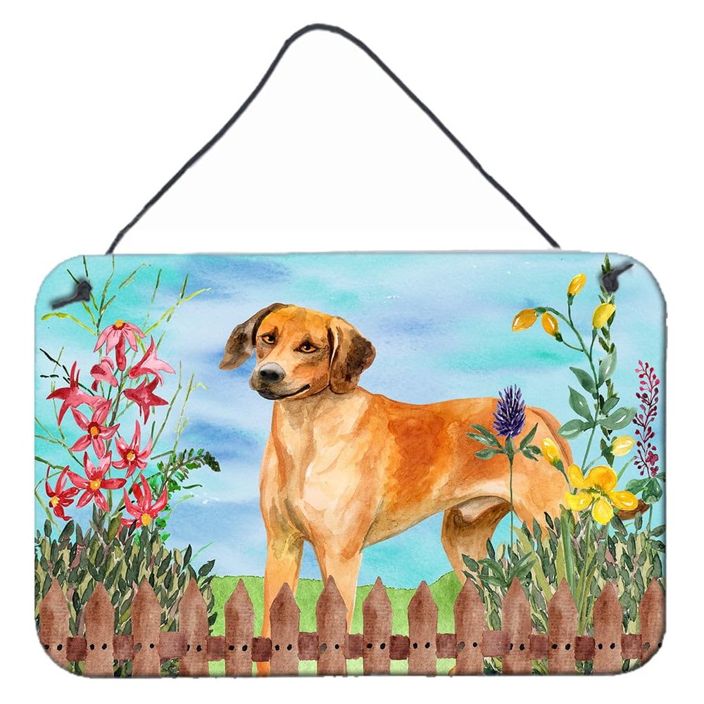 Rhodesian Ridgeback Spring Wall or Door Hanging Prints 8 x 12 in.