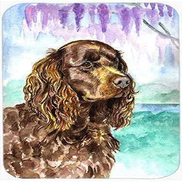 American Water Spaniel Glass Cutting Board - Large- 15 x 12 in.