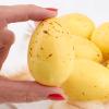 Factory Direct Craft Yellow Speckled Artificial Eggs Set of 24 - for Easter Decorating, Baby Showers, and Spring Displays (2-1/2 Inches Long) view 3