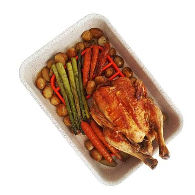 FELTECHELECTR Silicone Roasting Rack Non-stick Insulation for Ovens Pressure Cookers for Elevating Food Dishwasher Safe Red