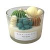 Cactus Candle, Handmade Organic Soy Wax Scented Candle, Succulent Garden Candle Housewarming Gift, Birthday gift, Thank you gift, Valentines gift (Macintosh Apple, 16 oz) view 1
