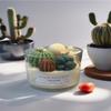 Cactus Candle, Handmade Organic Soy Wax Scented Candle, Succulent Garden Candle Housewarming Gift, Birthday gift, Thank you gift, Valentines gift (Macintosh Apple, 16 oz) view 4