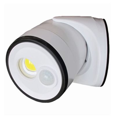 Dual Security Flood Light