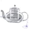BIUDECO Borosilicate Teaware Steaming Tea Pot Kettle Safe for Office Family Outdoor Travel view 2