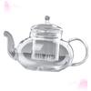 BIUDECO Borosilicate Teaware Steaming Tea Pot Kettle Safe for Office Family Outdoor Travel view 3
