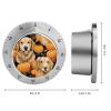 Golden Retriever Dog Pumpkin Kitchen Timer Countdown Cooking Timer Reminder Wind Up Timer for Home Study view 2