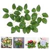 BIUDECO 50pcs Artificial Simulation Plant Decor for Wedding Home and Crafting Projects Beautiful and Reusable Faux Leaves for Floral Arrangements view 2