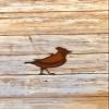 Bluebird Ornament. view 1