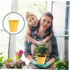 RORPOIR 3pcs Mini Bucket Yellow Pot French Fries Tin Pails Rustic Bucket Mini Plant Containers Favor Pail s French Fries Decor Tinplate Drum Galvanized view 3