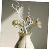 PRETYZOOM 2pcs Dry Branches Elegant Vase Filler White Birch Branches Botanical Decor Christmas Tree Ornaments Twigs Filling view 4