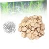 LALAFINA 200pcs Calendar Reminder Record Round Wood Clips and for Home Decoration and Creative Teaching Supplies view 3