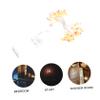 Anneome Unique Led Chicken String Lights for Easter Decor Warm Lights for Home Parties and Festivals Flexible Wire Design for Easy Installation and Display view 3