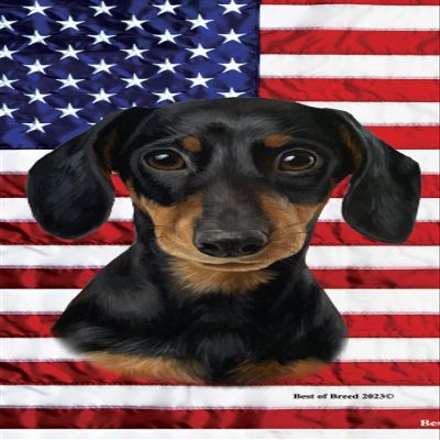 Best of Breed Dachshund Black/Tan Patriotic Terry Velour Microfiber Beach Towel 30" x 60"