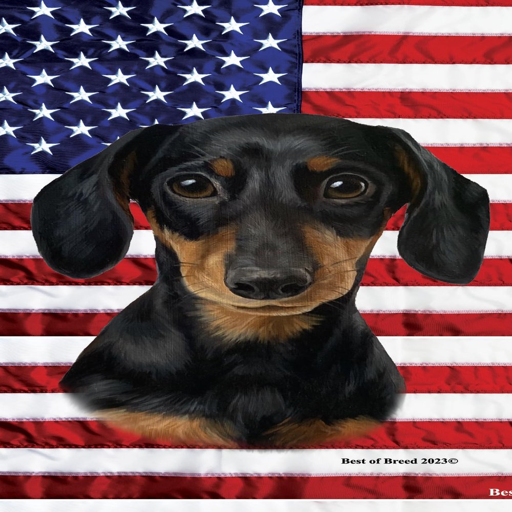 Best of Breed Dachshund Black/Tan Patriotic Terry Velour Microfiber Beach Towel 30" x 60"